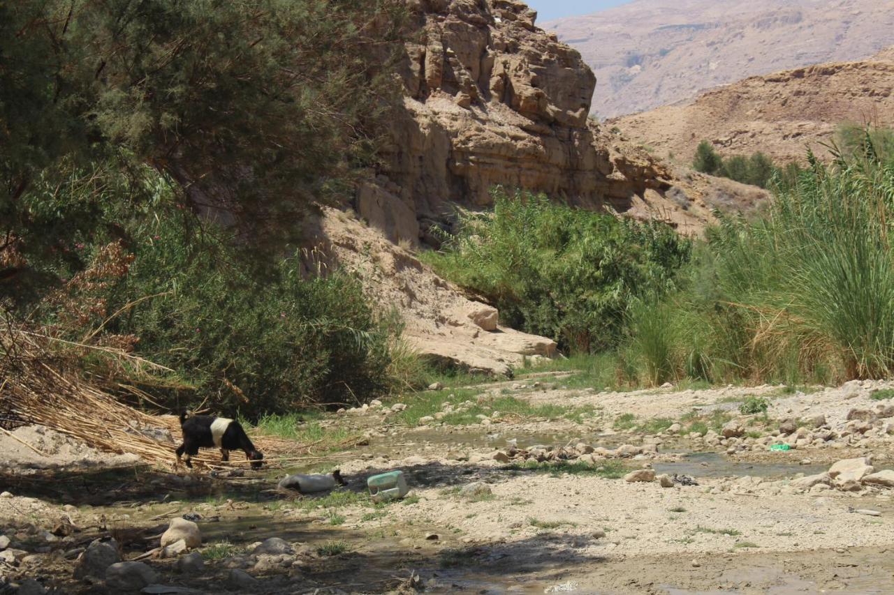 Отель Wadi Al-Hassa Camp Khawkhah Экстерьер фото