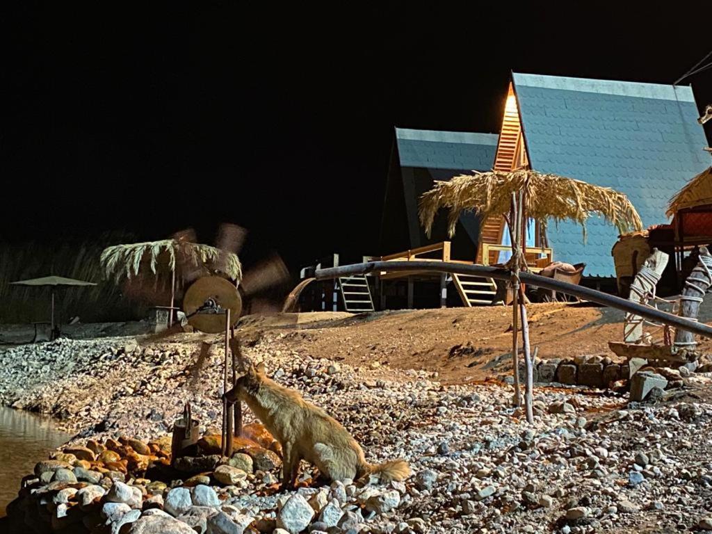 Отель Wadi Al-Hassa Camp Khawkhah Экстерьер фото