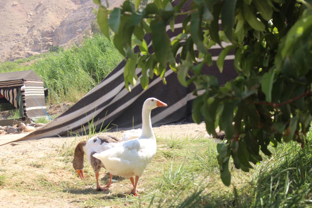 Отель Wadi Al-Hassa Camp Khawkhah Экстерьер фото