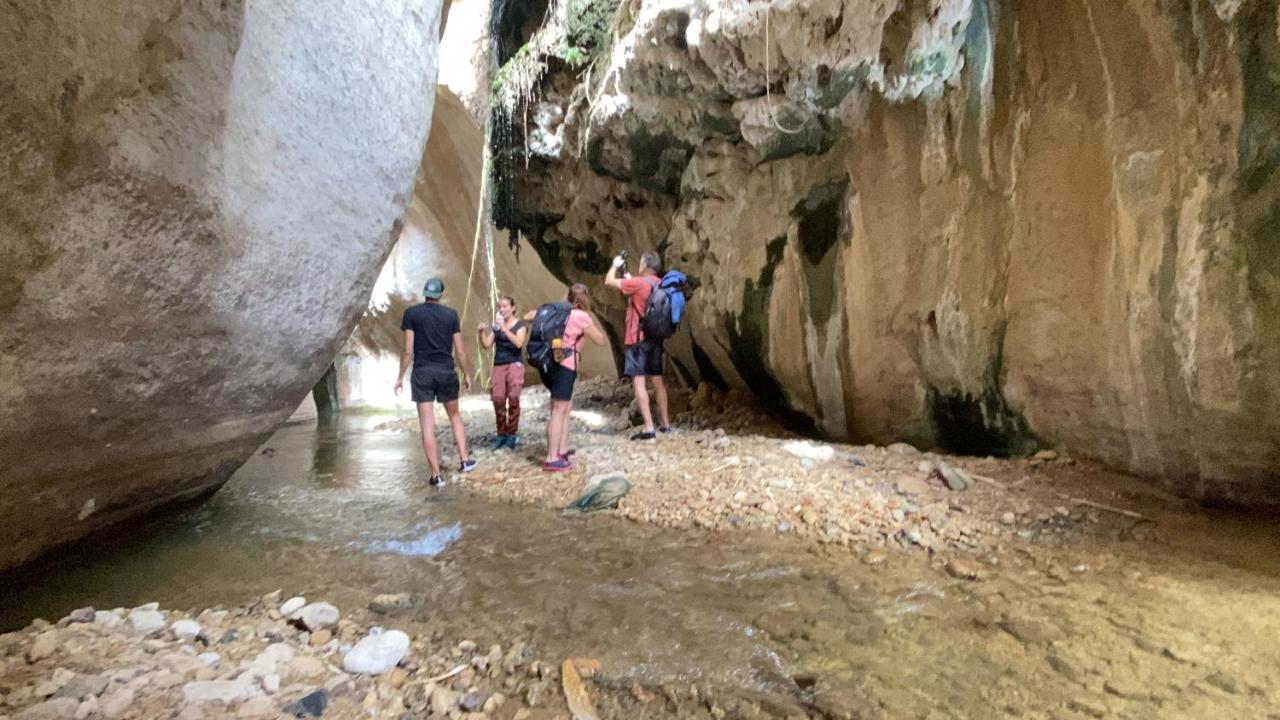 Отель Wadi Al-Hassa Camp Khawkhah Экстерьер фото